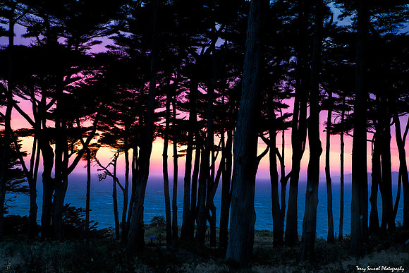 Lands End Color 3