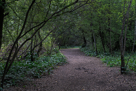 Tam Valley 5