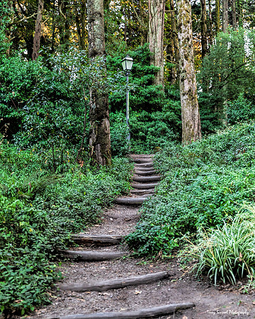 Pathway to Pena Palace
