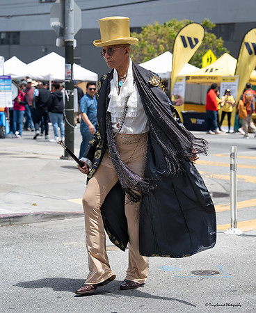 SF Carnaval Festival 2025 9 (Terry Scussel)