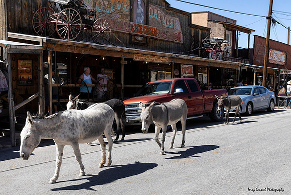 Oatman 2, AZ