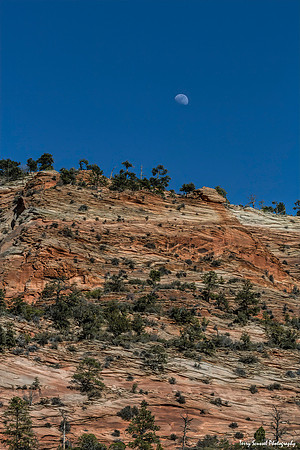 Full Moon Rising, Zion 3