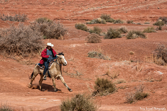 Navajo Horseman