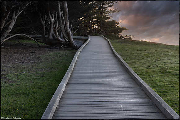 Boardwalk, MacKerricher State Park, Mendocino County copy