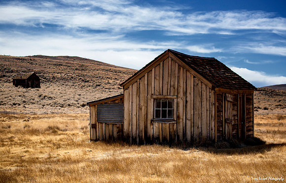 Lonesome in Bodie