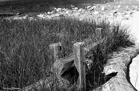 Pheiffer Beach Split Rail