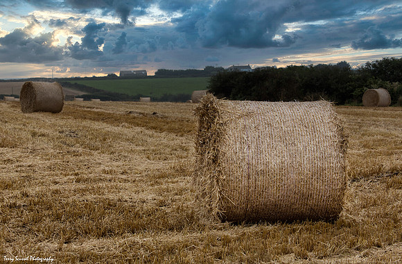 Hay Bale 2