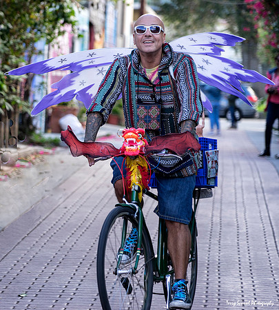 Feathered Bicylist - Balmy Street