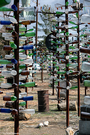 Elmer's Bottle Tree Ranch 3, Oro Grande, CA