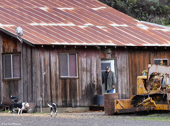Barn on San Simeon Creek Rd 6 copy