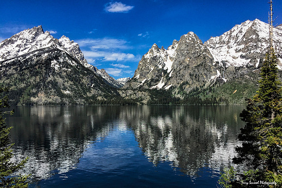 Jackson Lake Reflect