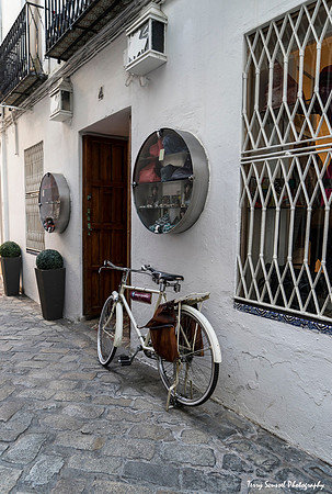 Bicycle - Cordova