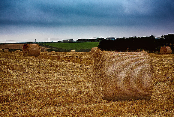 Hay Bale1_HDR2