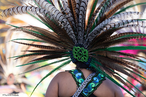 Azteca Blessing 22 (Terry Scussel)