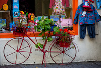 Shop Planter Bike