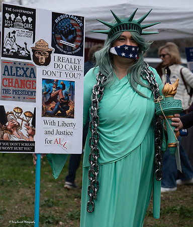 March4Democracy 1 (Terry Scussel) copy