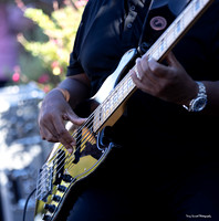 SRPF25_Afroholix Jazz Quartet 15 (©Terry Scussel)