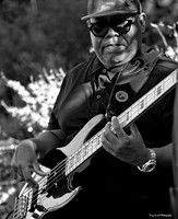 SRPF25_Afroholix Jazz Quartet 16 (©Terry Scussel)