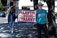 Palantir PA 2 (Terry Scussel) copy