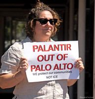 Palantir PA 31 (Terry Scussel) copy