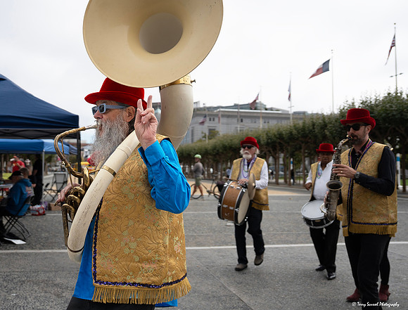 Indivisible SF Civics-travaganza 4 (© Terry Scussel) copy