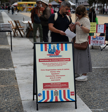 Indivisible SF Civics-travaganza 3 (© Terry Scussel) copy