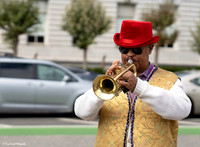 Indivisible SF Civics-travaganza 7 (© Terry Scussel) copy