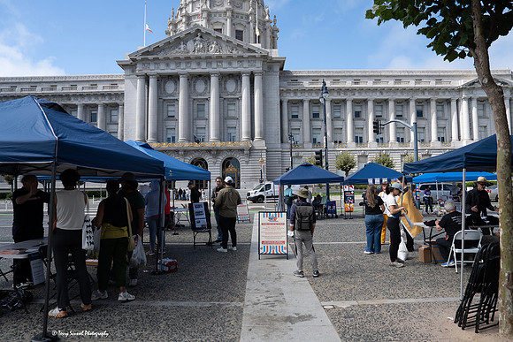 Indivisible SF Civics-travaganza 10 (© Terry Scussel) copy
