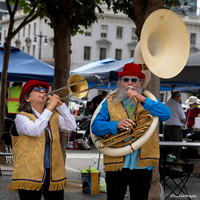 Indivisible SF Civics-travaganza 12 (© Terry Scussel) copy
