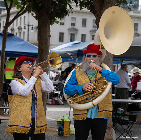 Indivisible SF Civics-travaganza 12 (© Terry Scussel) copy