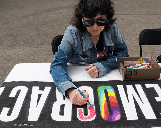 Indivisible SF Civics-travaganza 21 (© Terry Scussel) copy