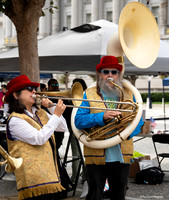Indivisible SF Civics-travaganza 19 (© Terry Scussel) copy