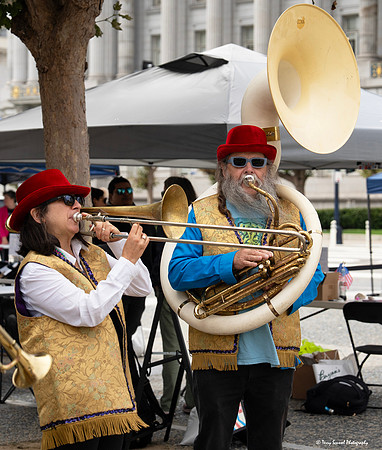 Indivisible SF Civics-travaganza 19 (© Terry Scussel) copy