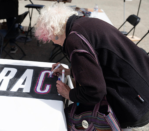 Indivisible SF Civics-travaganza 25 (© Terry Scussel) copy