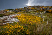 Connemara National Park 3, Ireland