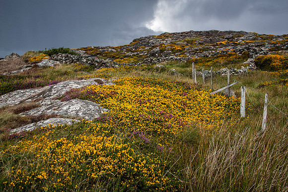 Connemara National Park 3, Ireland