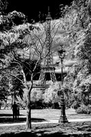 Eiffel Tower from Champ de Mars, Paris (IR 16x24)