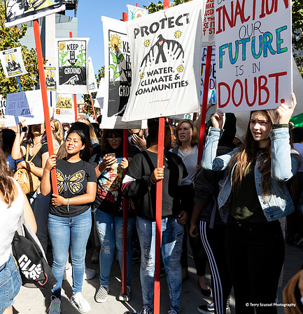 Climate Strike Protest 4 (Terry Scussel)