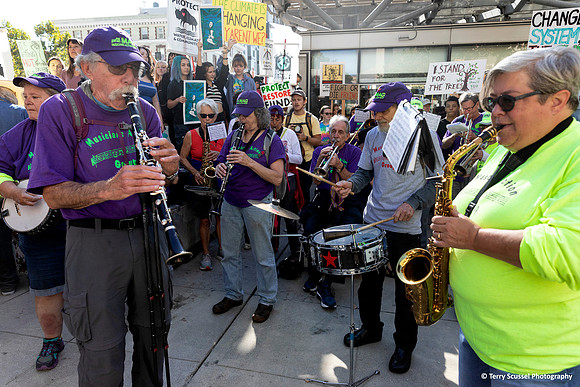Climate Strike Protest 3 (Terry Scussel)