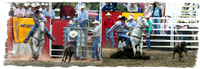 Calf Roping merge