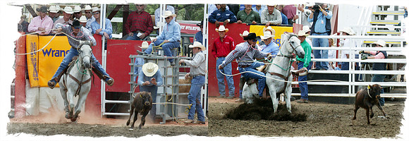 Calf Roping merge