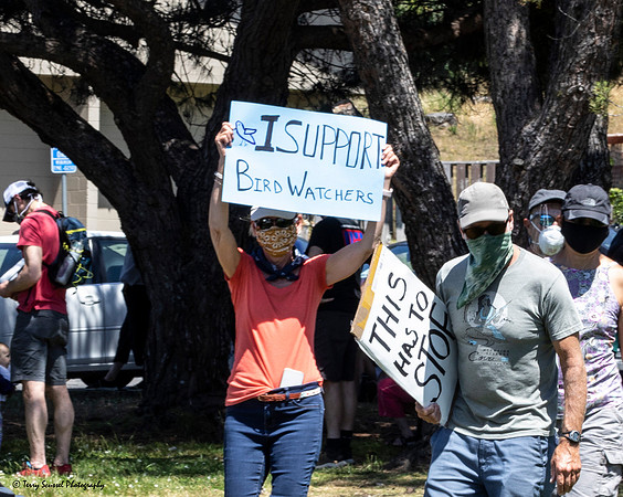 Black Lives Matter-Marin City 4 (Terry Scussel)