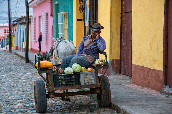 Fruit Vendor - Cart