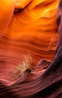 Rattle Snake Canyon