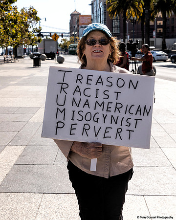 Vigil for Democracy 4 (Terry Scussel)