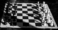 Chess Anyone