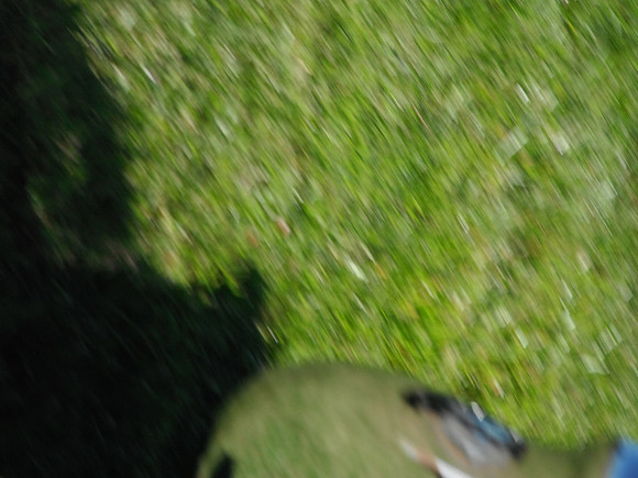DSCF1036
