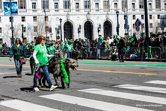 St. Patrick's Day Parade 3 (Terry Scussel)
