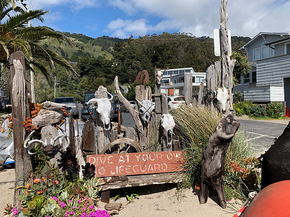 Beachcombing - Stinson Beach 5