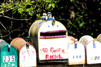 Day 15 - Mt Tam - Stinson Beach